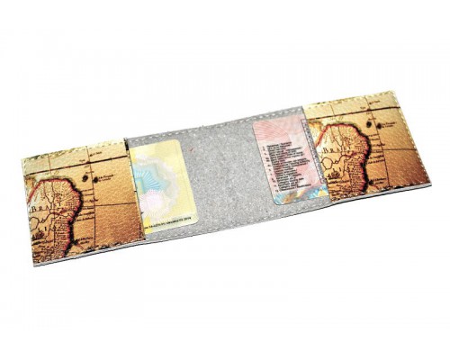 Обложка для прав из кожи -Золотые монеты-